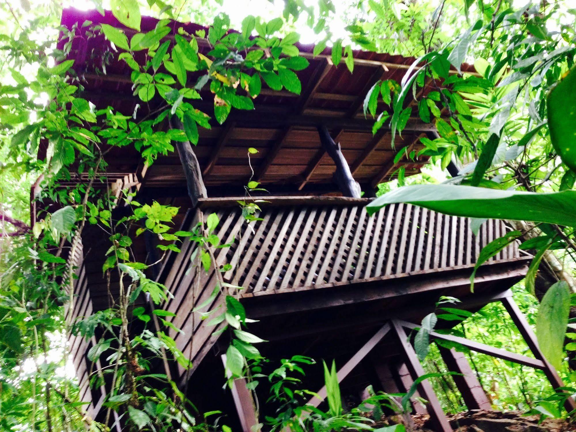 Arenal Green La Fortuna Exterior foto