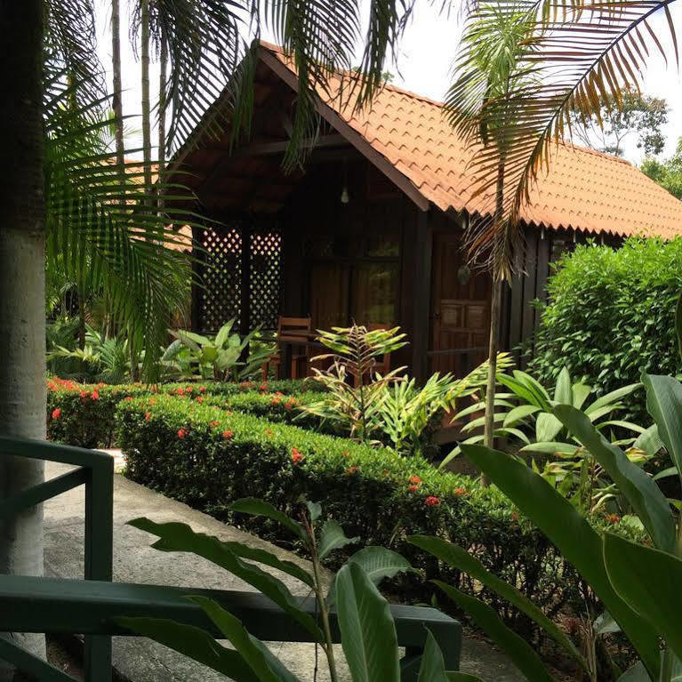 Arenal Green La Fortuna Exterior foto